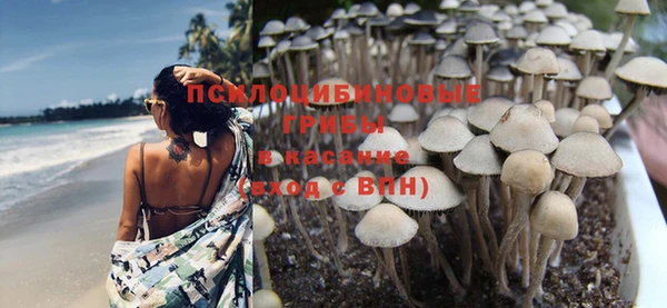 кокс Алзамай
