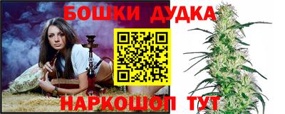 PSILOCYBIN Гай