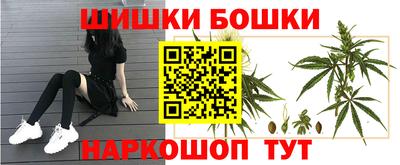 PSILOCYBIN Гай