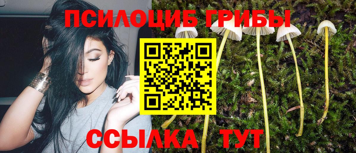 Псилоцибиновые грибы мухоморы Тосно